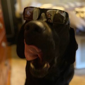 Meet your Posher, Halle